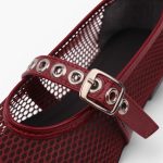 Lace Ballet – Burgundy